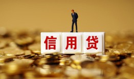 成都7哪有个人借贷-成都7小额贷款公司-成都7私借空放免费上门